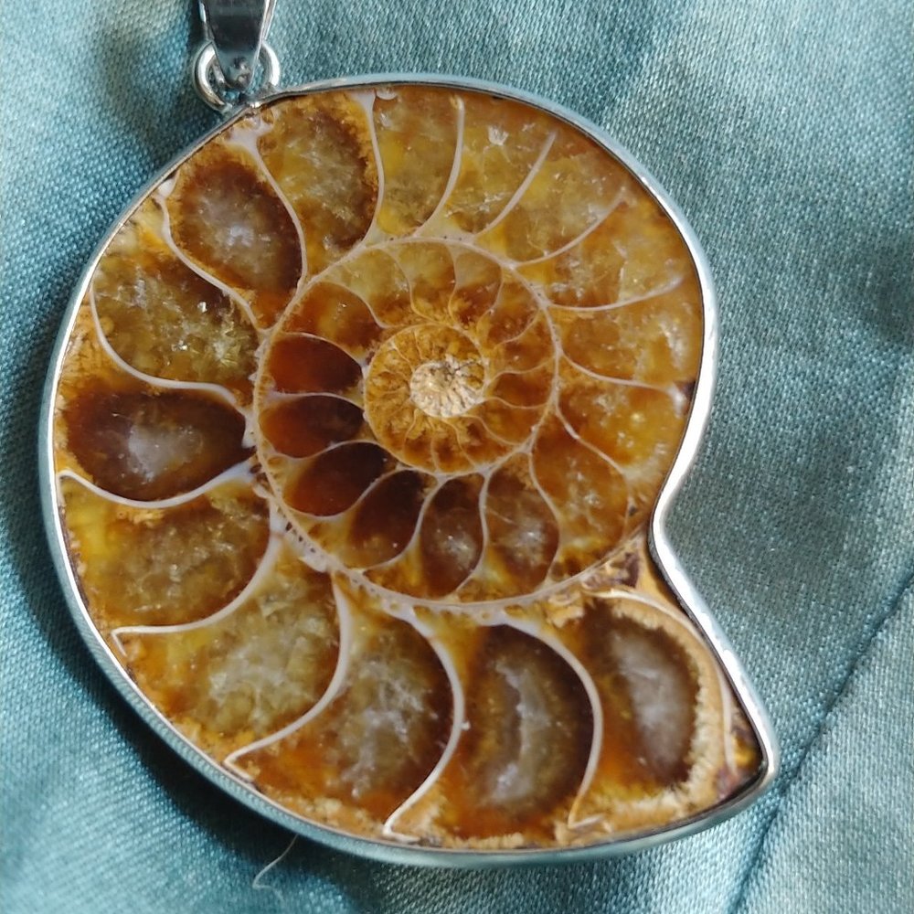 GenuineAmmonite fossil pendant